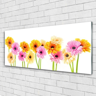 Pintura em vidro Flores Gérberas Coloridas