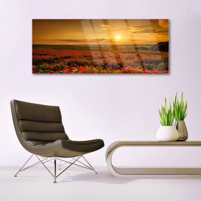 Quadro de vidro Campo de papoulas Sunset Meadow