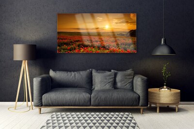 Quadro de vidro Campo de papoulas Sunset Meadow