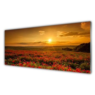 Quadro de vidro Campo de papoulas Sunset Meadow