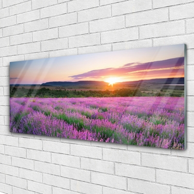 Quadro de vidro Pôr do sol nos campos de lavanda