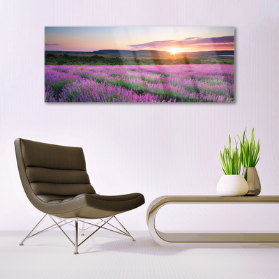 Quadro de vidro Pôr do sol nos campos de lavanda
