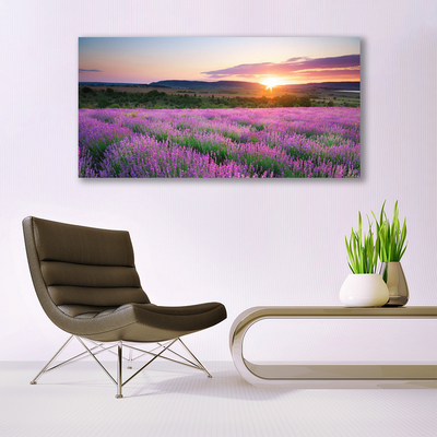 Quadro de vidro Pôr do sol nos campos de lavanda