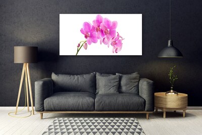 Quadro de vidro Flor de orquídea Orquídea