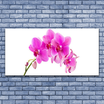 Quadro de vidro Flor de orquídea Orquídea