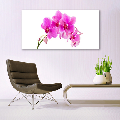 Quadro de vidro Flor de orquídea Orquídea