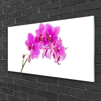 Pintura em vidro Flor de orquídea Orquídea