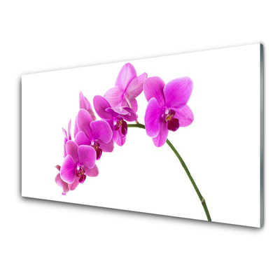 Quadro de vidro Flor de orquídea Orquídea