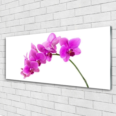 Quadro de vidro Flor de orquídea Orquídea