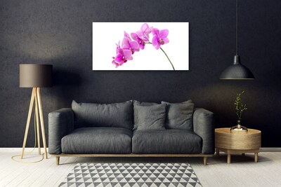 Quadro de vidro Flor de orquídea Orquídea