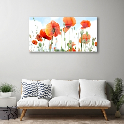 Quadro de vidro Flores Papoulas Prado Campo Natureza