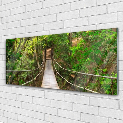 Quadro de vidro Ponte da Floresta Tropical da Selva
