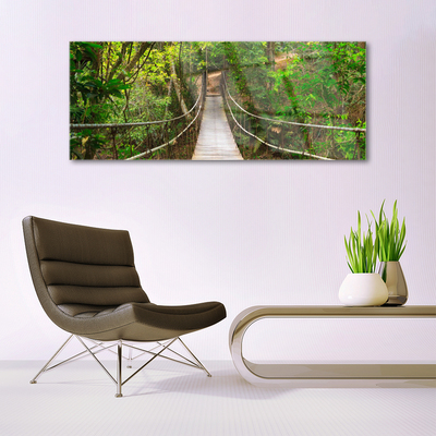 Quadro de vidro Ponte da Floresta Tropical da Selva