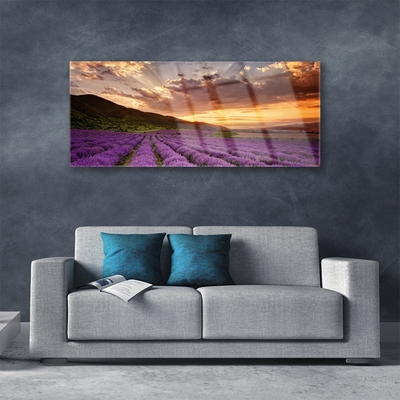 Quadro de vidro Pôr do sol no campo de lavanda