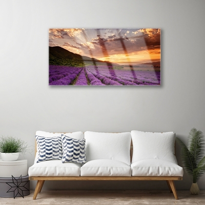 Quadro de vidro Pôr do sol no campo de lavanda
