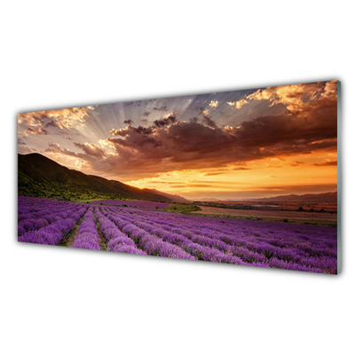 Quadro de vidro Pôr do sol no campo de lavanda