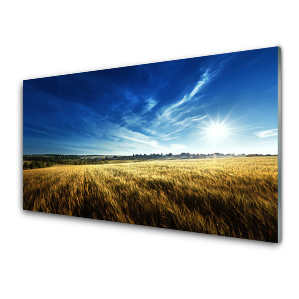 Quadro de vidro Campo Grão Sol Paisagem
