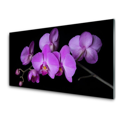 Quadro de vidro Orquídea Flores de Orquídea