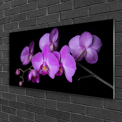 Quadro de vidro Orquídea Flores de Orquídea
