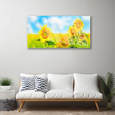 Quadro de vidro Flores de Girassol Natureza