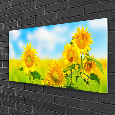 Quadro de vidro Flores de Girassol Natureza