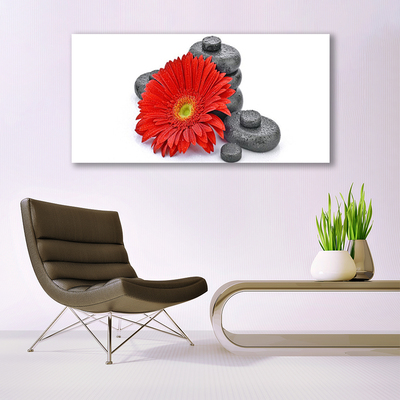 Quadro de vidro Flores de Gérbera Vermelha