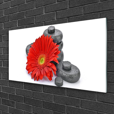 Quadro de vidro Flores de Gérbera Vermelha