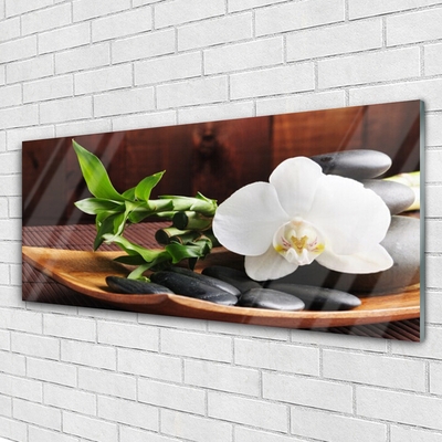 Quadro de vidro Bambu Zen Orquídea Branca