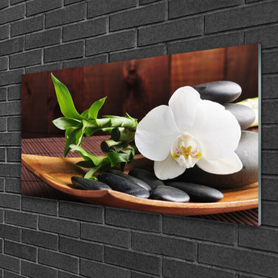 Quadro de vidro Bambu Zen Orquídea Branca