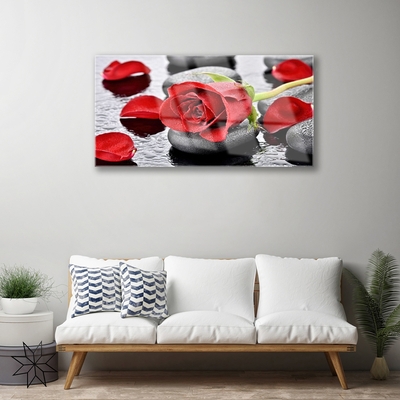 Quadro de vidro Flor de rosa vermelha