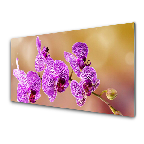 Pintura em vidro Caules de orquídeas flores natureza