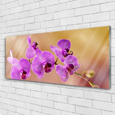 Pintura em vidro Caules de orquídeas flores natureza