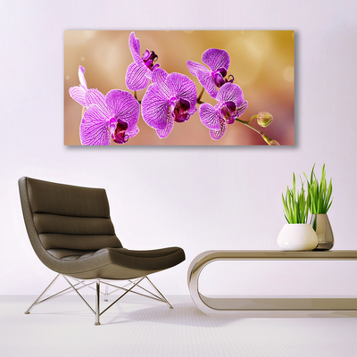 Pintura em vidro Caules de orquídeas flores natureza