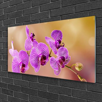 Pintura em vidro Caules de orquídeas flores natureza