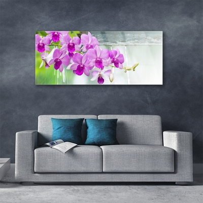 Quadro de vidro Orquídeas Gotas Natureza