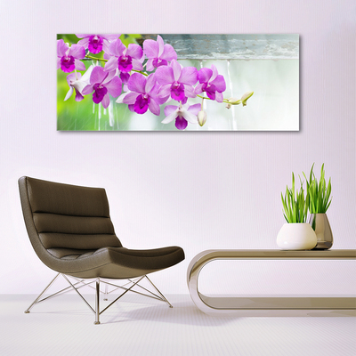 Quadro de vidro Orquídeas Gotas Natureza