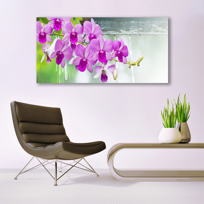 Quadro de vidro Orquídeas Gotas Natureza