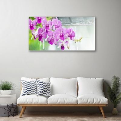 Quadro de vidro Orquídeas Gotas Natureza