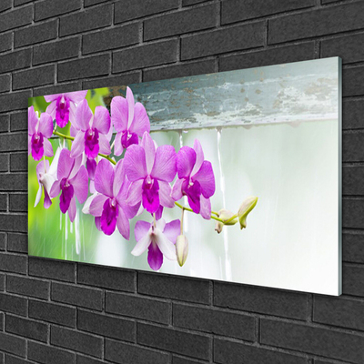 Quadro de vidro Orquídeas Gotas Natureza
