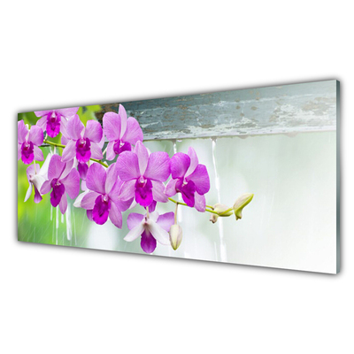 Quadro de vidro Orquídeas Gotas Natureza