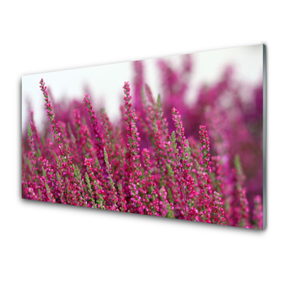 Quadro de vidro Flores Prado Natureza Planta