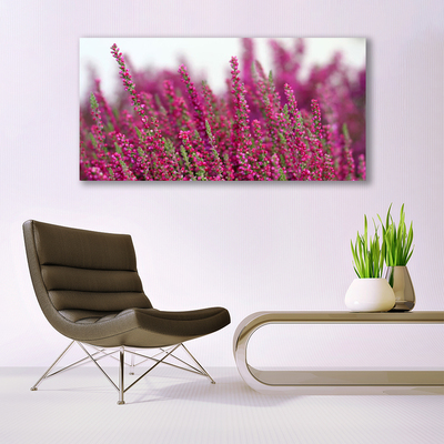 Quadro de vidro Flores Prado Natureza Planta