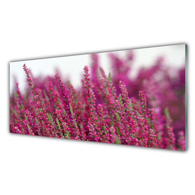 Quadro de vidro Flores Prado Natureza Planta