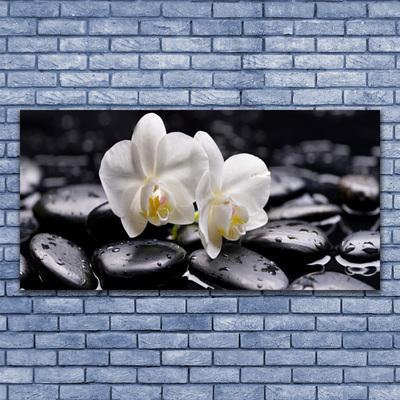 Quadro de vidro Spa Zen White Orchid