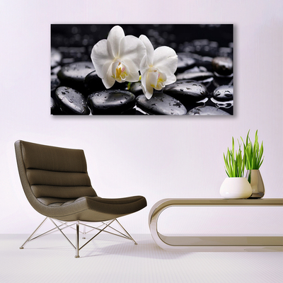 Quadro de vidro Spa Zen White Orchid