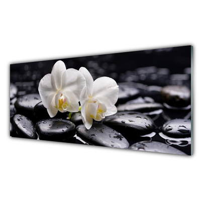 Quadro de vidro Spa Zen White Orchid