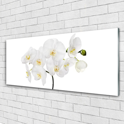 Quadro de vidro Flores de orquídea branca