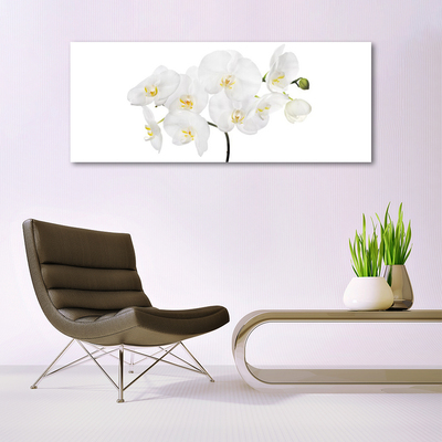 Quadro de vidro Flores de orquídea branca