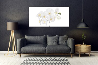 Quadro de vidro Flores de orquídea branca