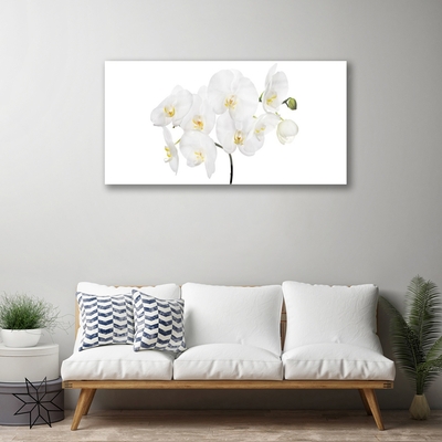Quadro de vidro Flores de orquídea branca